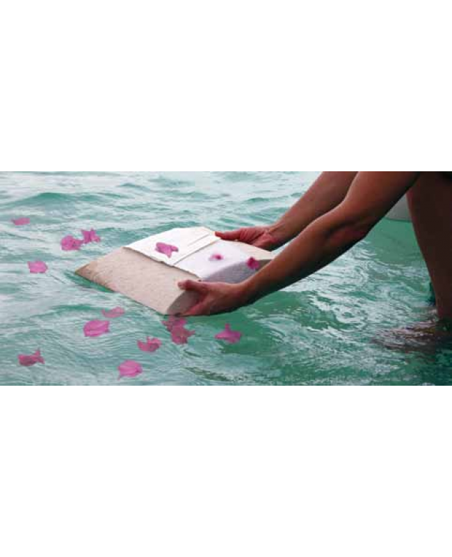 Scatter Memorial Petals for journey water cremation