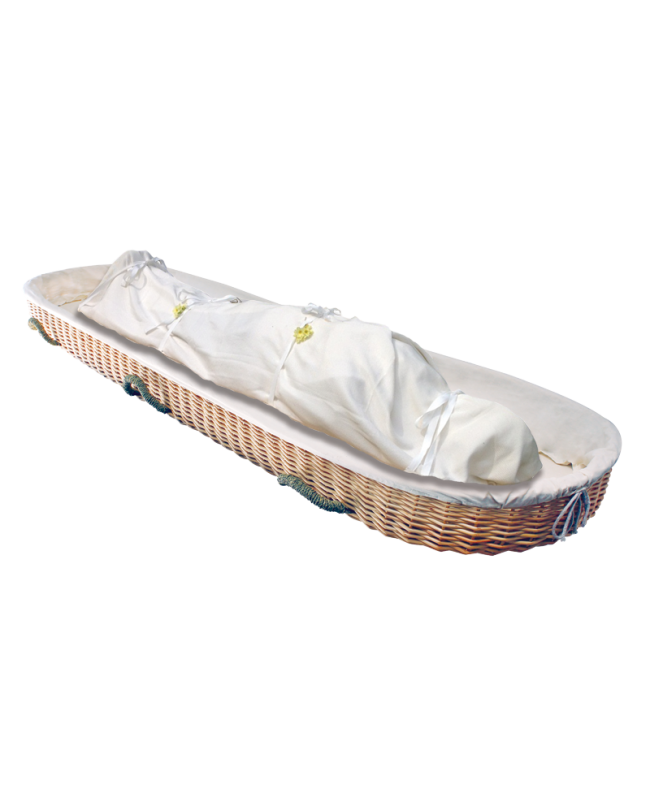 Willow Carrier - Ground Shipping Included