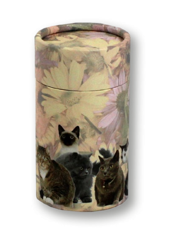Cat Scattering Tubes