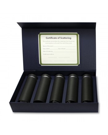 Silver Lining Scattering kit