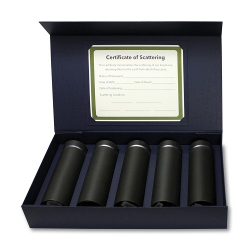 Silver Lining Scattering kit