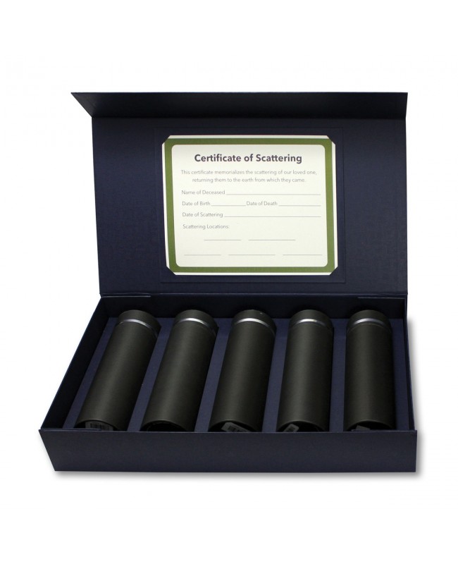 Silver Lining Scattering kit
