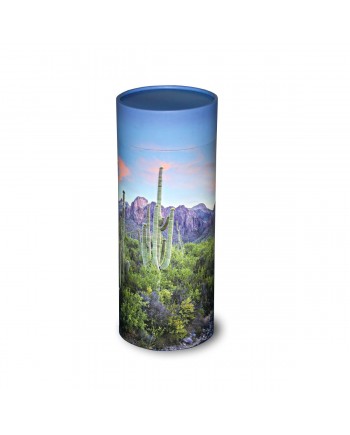Saguaro Trail Scattering Tube