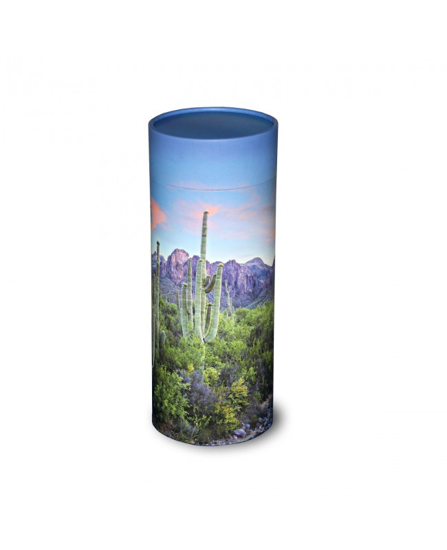 Saguaro Trail Scattering Tube
