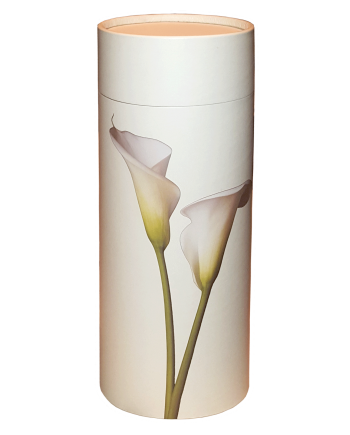 Lily Scattering Tube