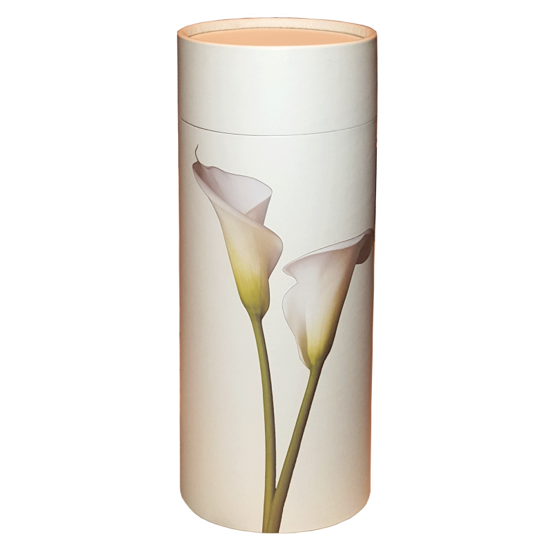 Lily Scattering Tube