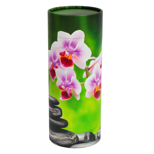 Orchid Scattering Tube