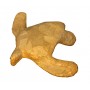 Pet Paper Turtle Urns (2)