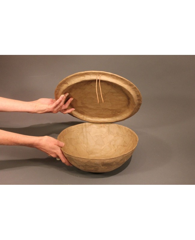 sand dollar Serenity Biodegradable Urn