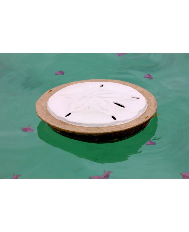 sand dollar Serenity Urn for sea burial