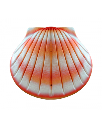 Biodegradable Water Shell Urn. 400 Cubic Inches