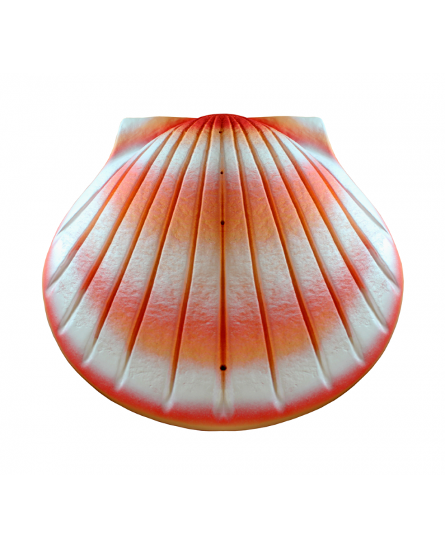 Biodegradable Water Shell Urn. 400 Cubic Inches