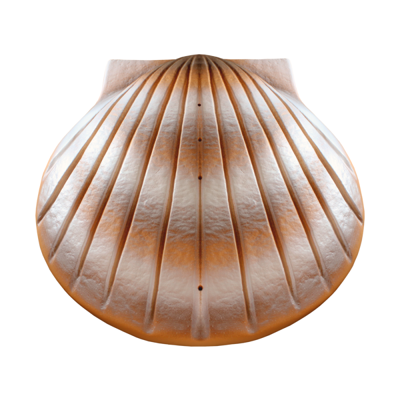 Biodegradable Water Shell Urn. Pearl Companion