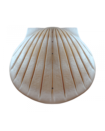 Biodegradable Water Shell Urn. Companion