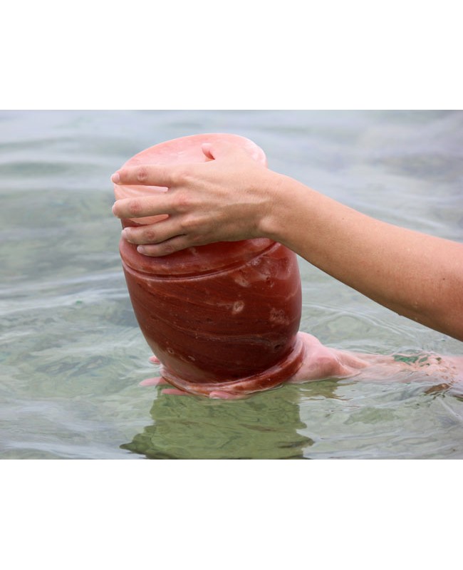 pet Athena biodegradable salt urn
