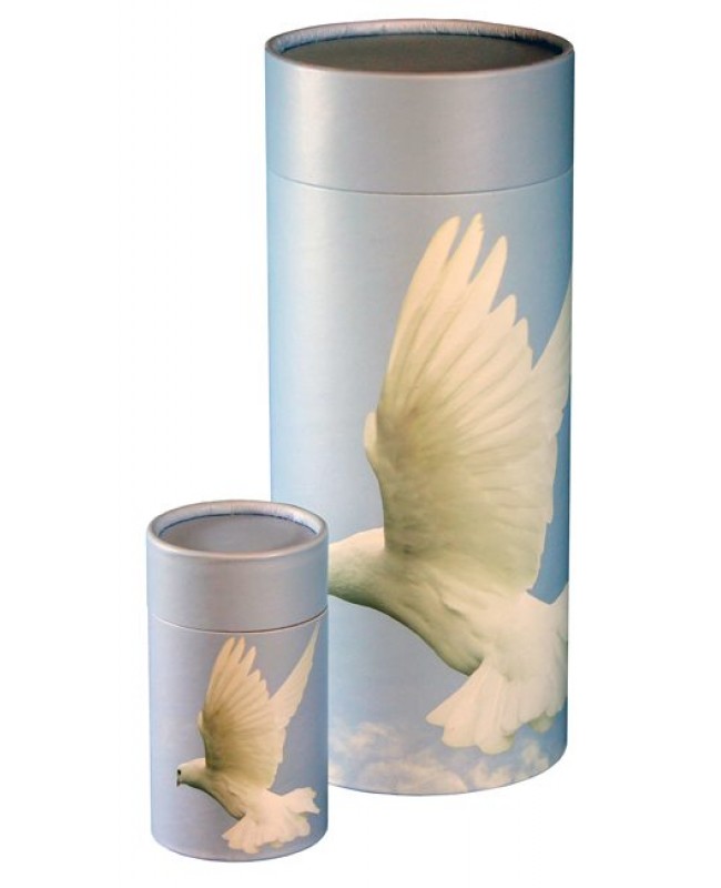 Patriot Scattering Tube