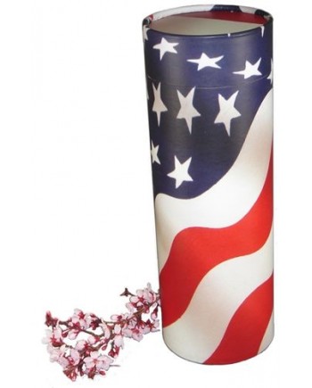 Patriot Scattering Tube