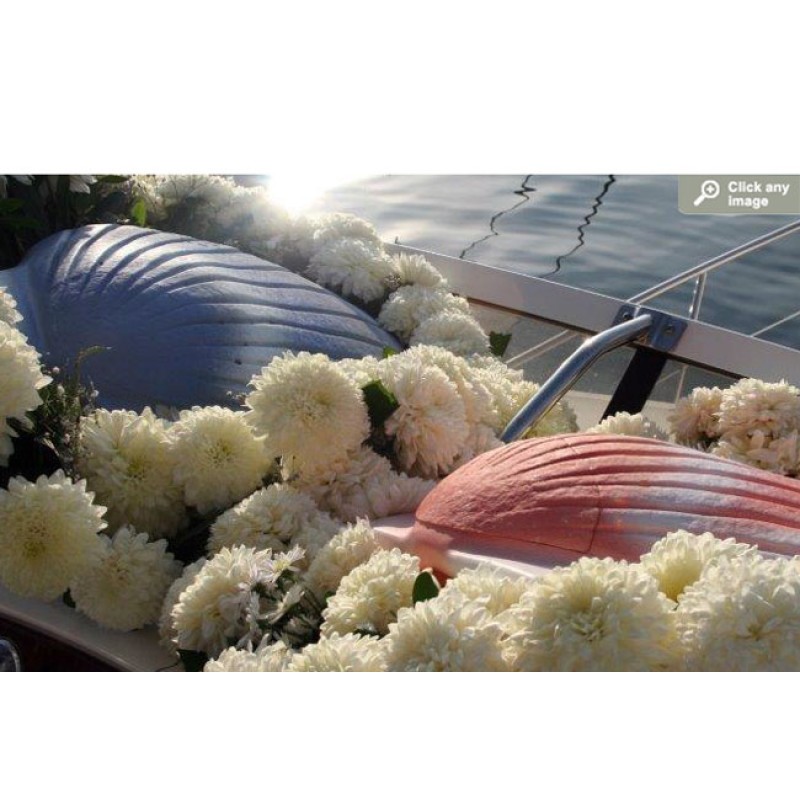 Aqua shell Urn for Water Burial - Green Burials