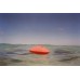 Memento Coral Paper Water Urn
