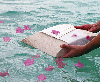 Water Burials With Petals Water Burials With Petals