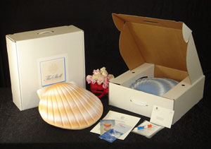 shell urn carrying case