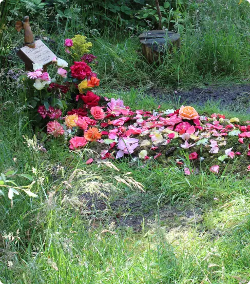 Natural burial flowers in garden