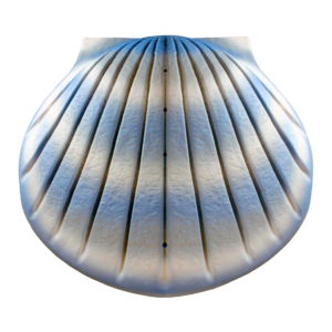 Aqua Shell Cremation Urn