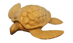 turtle-adult