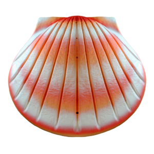 Biodegradable Water Shell Urn 400 Cubic Inches Coral