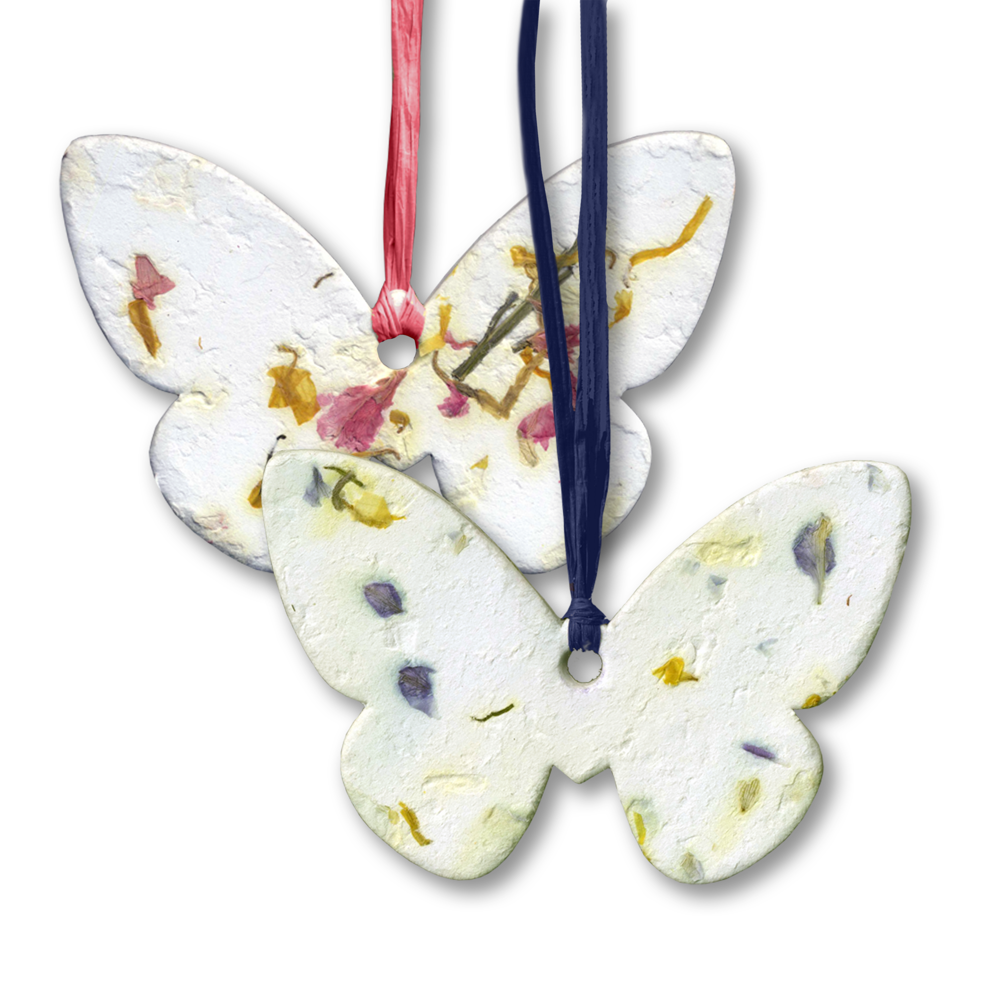 Blooming-Butterfly-Forget-Me-Not-and-Wildflower-2000x2000-Clear