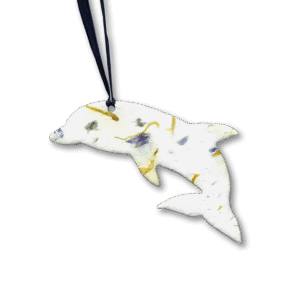 Blooming-Dolphin-2000x2000-Clear