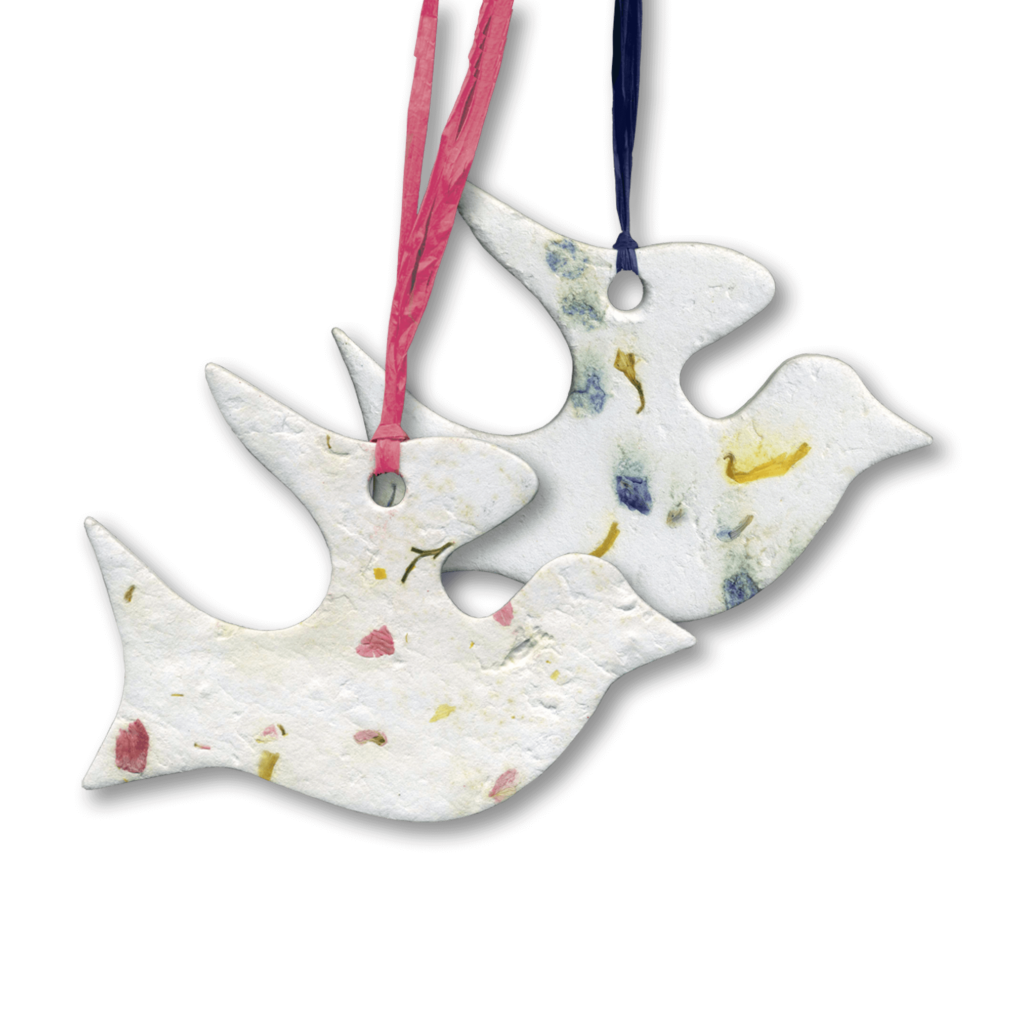 Blooming-Dove-Forget-Me-Not-and-Wildflower-2000x2000-Clear