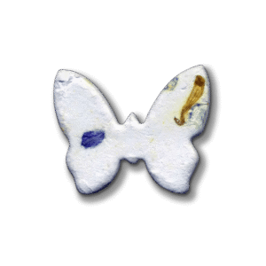 Blooming-Mini-Butterfly-2000x2000-Clear
