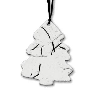 Blooming-Tree-austrian-pine-2000x2000-Clear