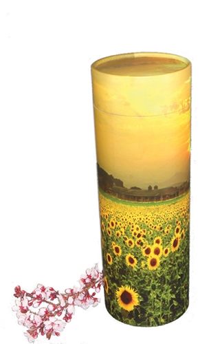 sunflower-fields-scattering-tube-98