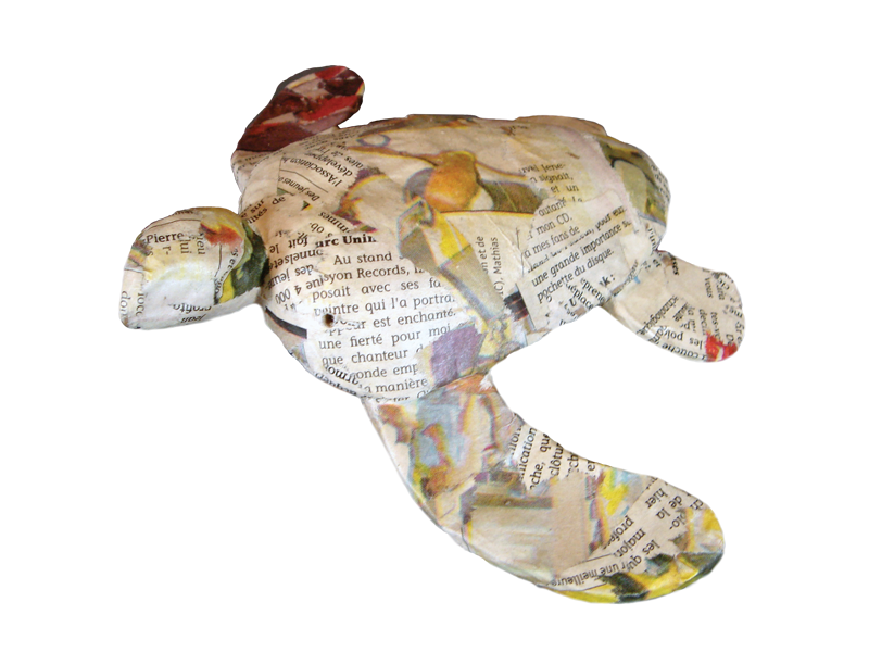 turtle-newsprint