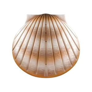 Pearl Shell Urn image1