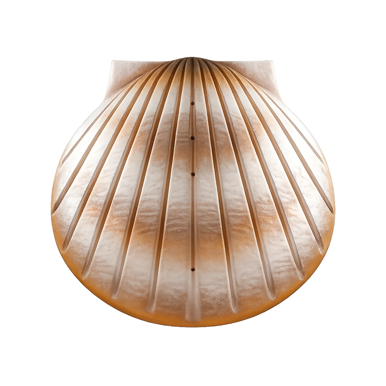 Pearl Shell Urn image1