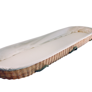 Willow Carrier – Ground Shipping Included