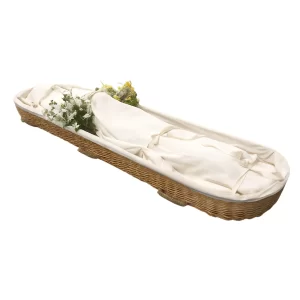 Willow Carrier image2