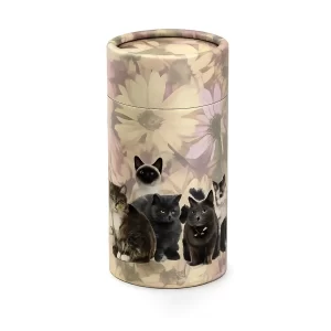 Cat Scattering Tubes