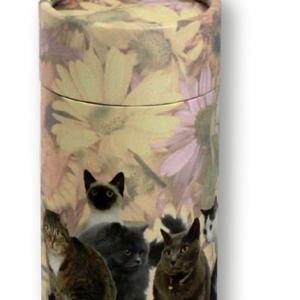 Cat Scattering Tubes