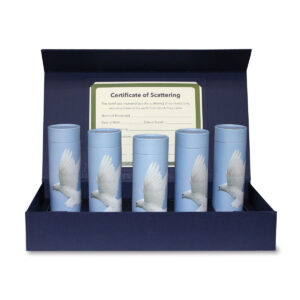 40 CI Scattering Kit, STA_media-02