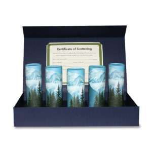 40 CI Scattering Kit, STMV_media-02