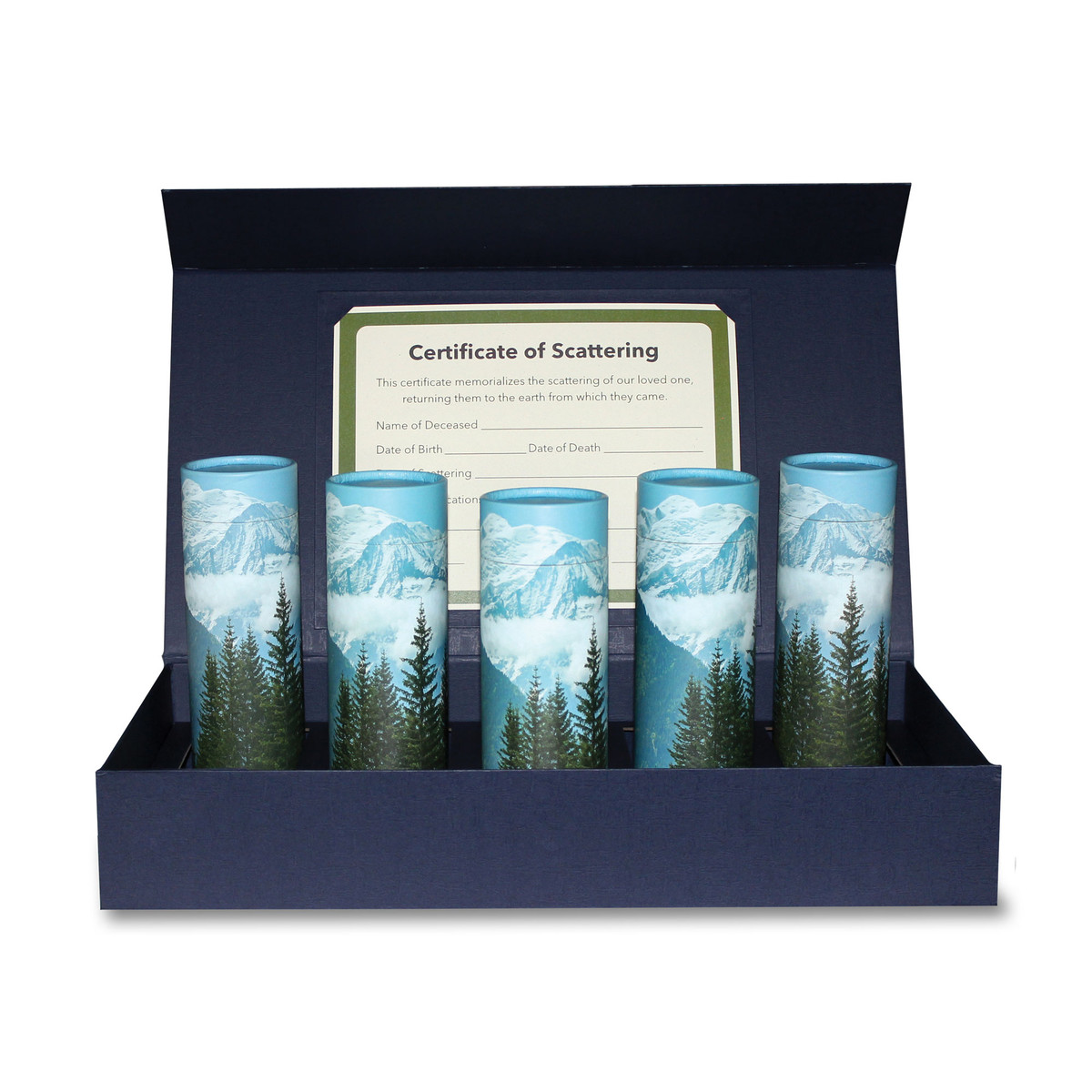 40 CI Scattering Kit, STMV_media-02