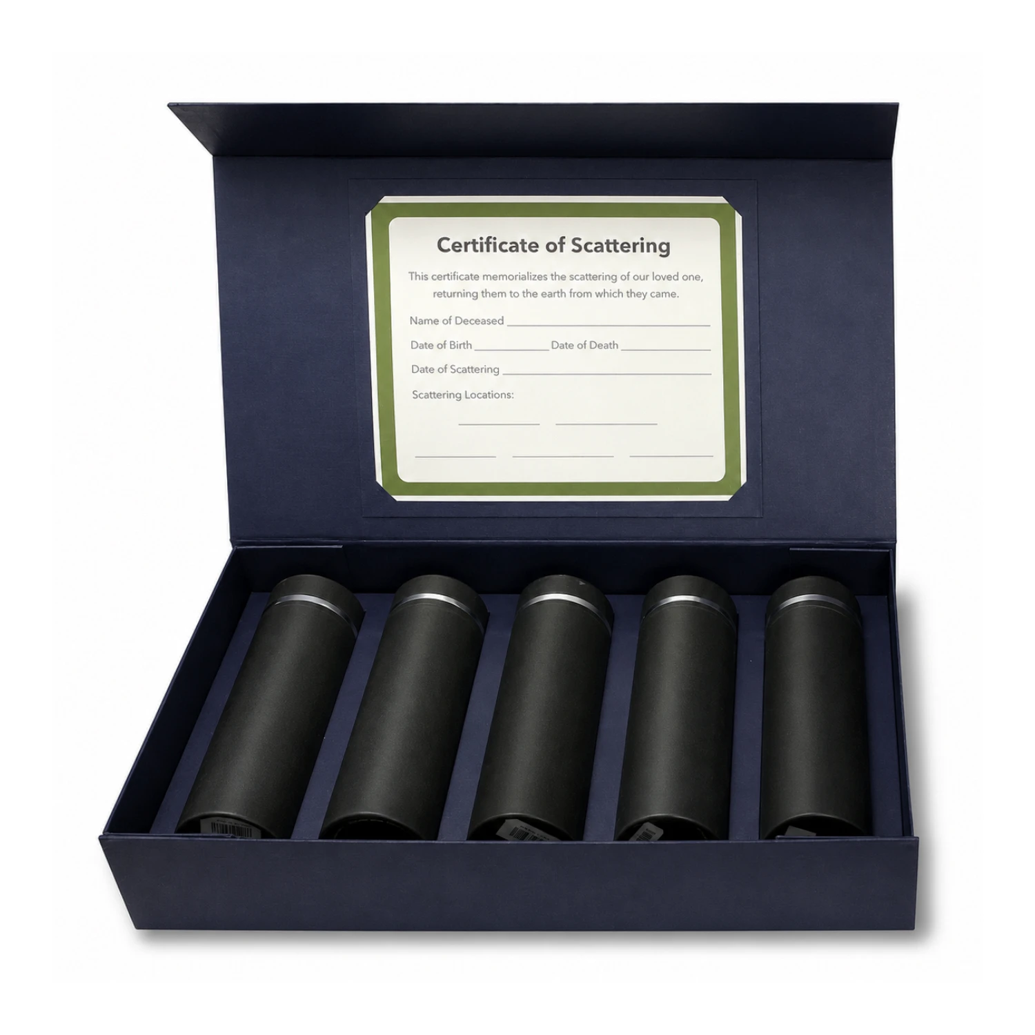 Silver Lining Scattering kit image2
