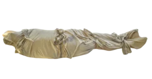 blueberrytie-dyeshroud-transparent