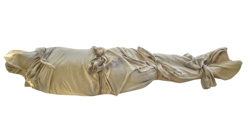 blueberrytie-dyeshroud-transparent