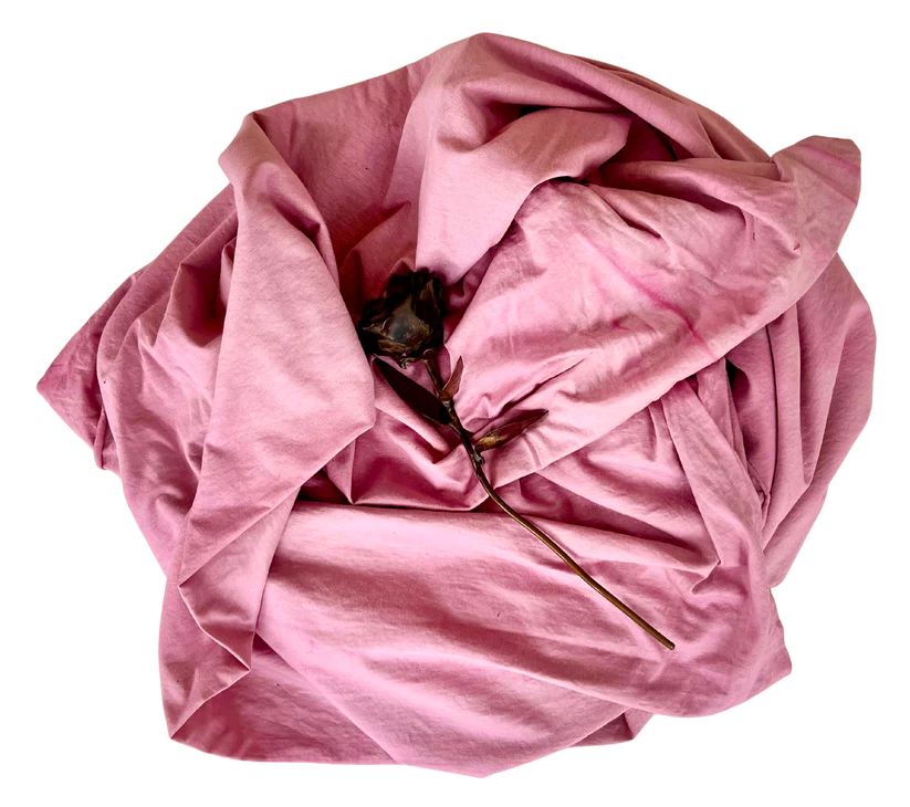 hibiscusswirl-transparent