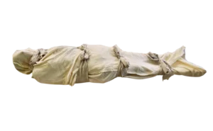 pomegranateshroud-transparent